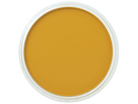 PanPastel Yellow Ochre (227.5)