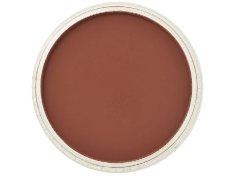 PanPastel Red Iron Oxide Extra Shade (238.3)