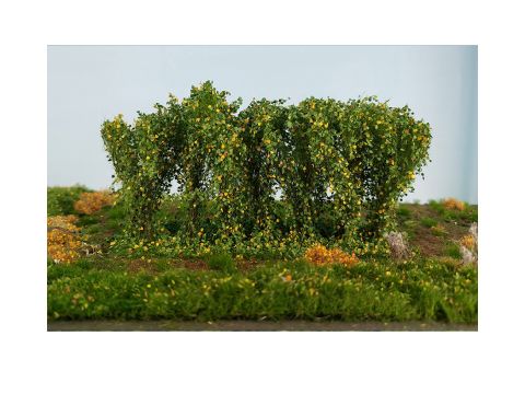 Silhouette Hedge - early fall - ca 8-9 x 15cm - 0 / I / II (254-43)
