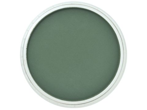 PanPastel Permanent Green Extra Dark (264.1)