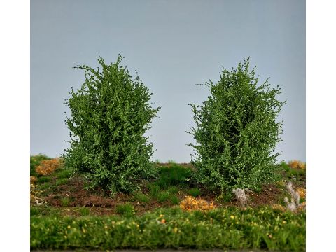 Silhouette Bush - summer - 8-10 cm - 0 / 1:43,5 (350-42)