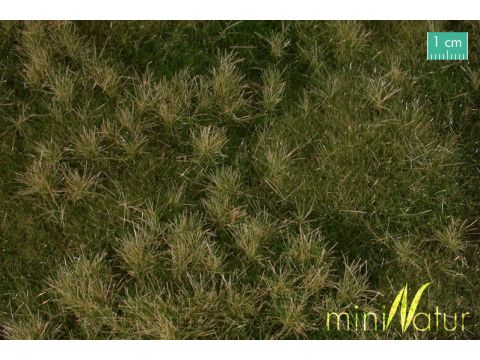 Mininatur Fertile plain meadow - Early fall - ca. 25x15,5cm - H0 / TT (733-23S)