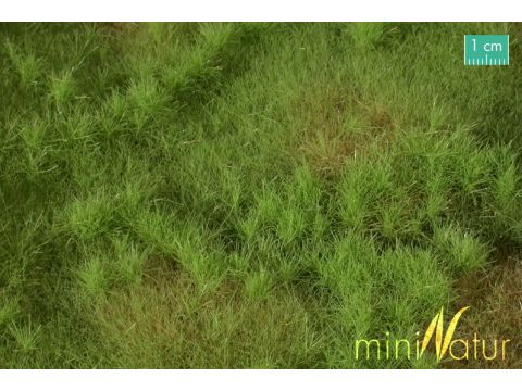 Mininatur Fertile plain meadow - Spring - ca.30x50 - N / Z (733-11)