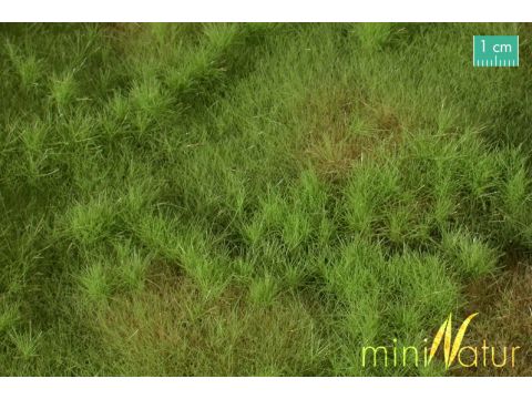 Mininatur Fertile plain meadow - Spring - ca.15x8 cm - N / Z (733-11MS)