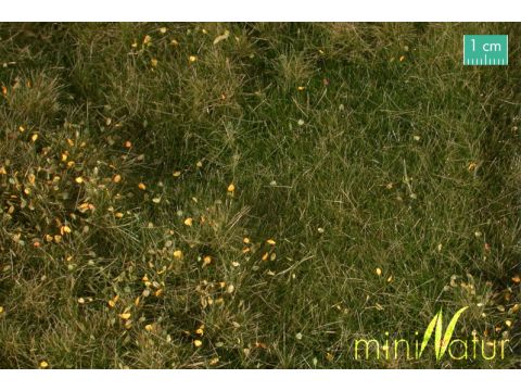 Mininatur Fertile plain meadow with weeds - Early fall - ca. 25x15,5cm - H0 / TT (734-23S)