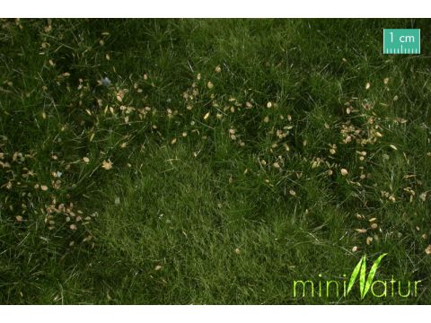 Mininatur Fertile plain meadow with weeds - Summer - ca. 25x15,5cm - H0 / TT (734-22S)