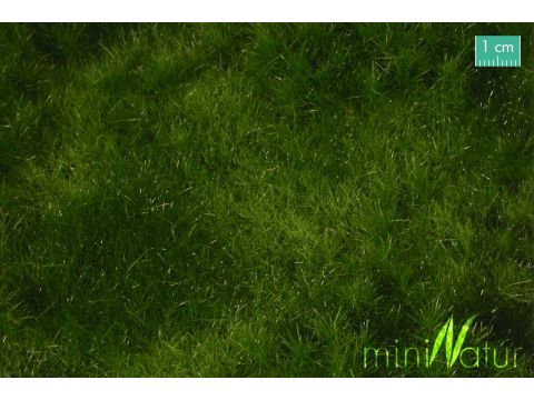 Mininatur Fertile plain meadow - Summer - ca.15x8 cm - N / Z (733-12MS)