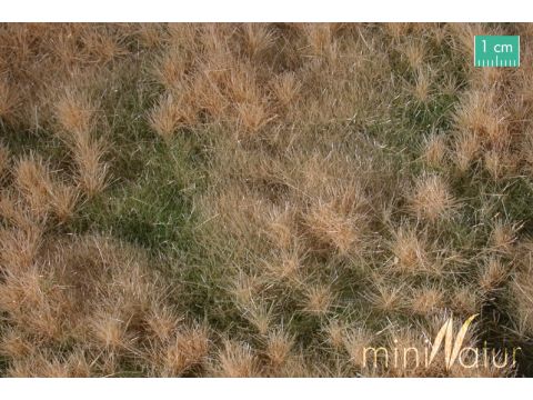 Mininatur Fertile plain meadow - Late fall - ca.15x8 cm - N / Z (733-14MS)