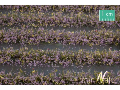 Mininatur Flower field strips - Purple - ca. 210cm - H0 / TT (767-24)