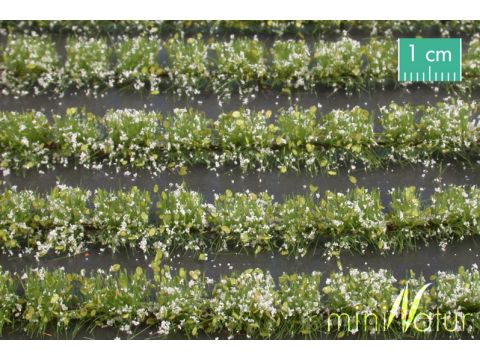 Mininatur Flower field strips - White - ca. 210cm - H0 / TT (767-21)