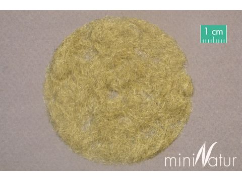 Mininatur Grass flock 2mm - Late fall - 100g - ALL (002-04)