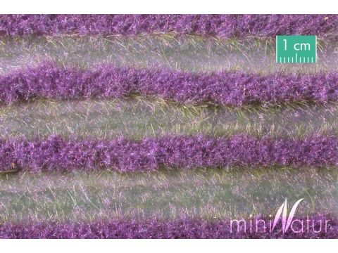 Mininatur Lavender field strips - Summer - ca. 336cm - H0 / TT (792-22)