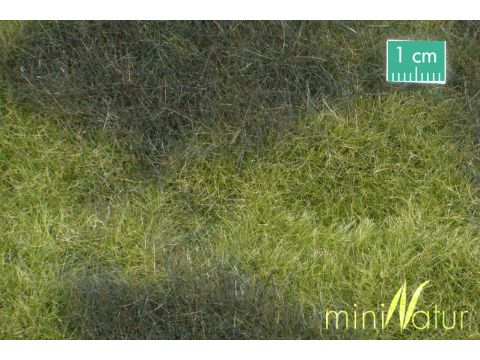 Mininatur Swamp meadow - Early fall - ca. 31,5x25cm - H0 / TT (723-23S)
