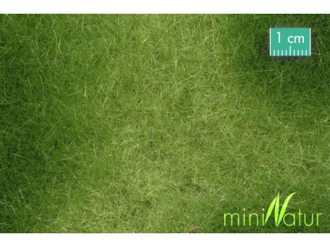 Mininatur Swamp meadow - Spring - ca. 31,5x25cm - H0 / TT (723-21S)