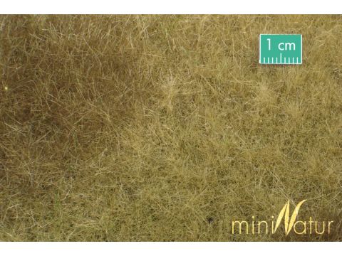 Mininatur Swamp meadow - Late fall - ca. 31,5x25cm - H0 / TT (723-24S)