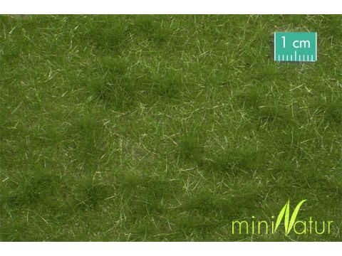 Mininatur Cattle pasture - Summer - ca.15x8 cm - H0 / TT (713-22MS)