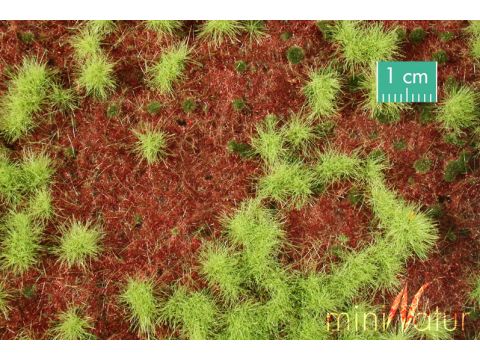 Mininatur Overgrown forest ground cover - Spring - ca.15x8 cm - H0 / TT (741-21MS)
