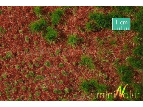 Mininatur Overgrown forest ground cover - Summer - ca.15x8 cm - H0 / TT (741-22MS)