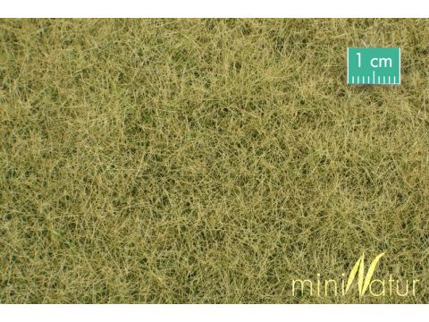 Mininatur Meadow - Late fall - ca. 31,5x25cm - 1:45+ (720-34S)