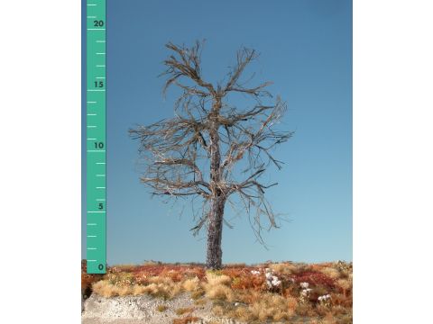 Silhouette Maple - Barren - 1 (ca. 10-13cm) (230-10)