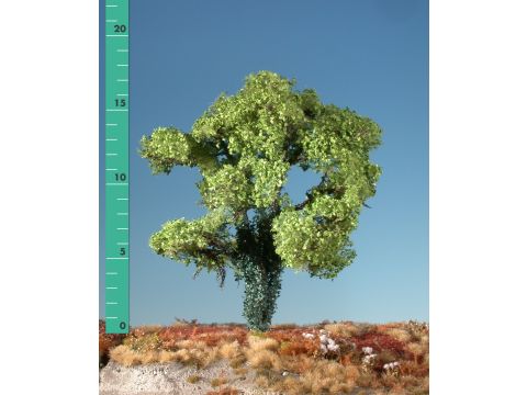 Silhouette Maple overgrown with ivy - Spring - 2 (ca. 15-20cm) - H0 / TT (231-21)