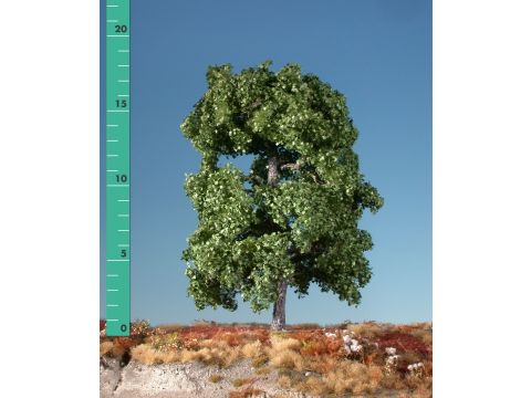 Silhouette Maple - Summer - 3 (ca. 22-29cm) - 1:45+ (230-32)