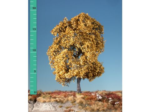 Silhouette Maple - Late fall (yellow) - 0 (< ca. 8cm) (230-04)