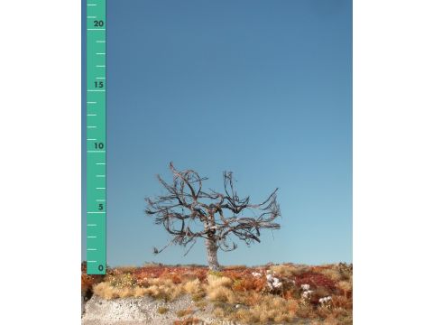 Silhouette Appletree - Barren - 1 (ca. 10-13cm) (226-10)