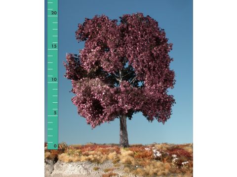 Silhouette Red maple - Summer - 1 (ca. 10-13cm) - N / Z (232-12)