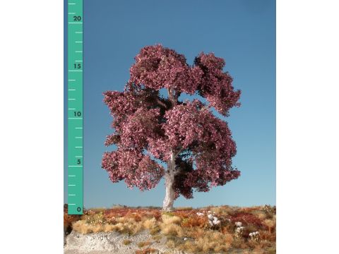 Silhouette Copper beech - Summer - 0 (< ca. 8cm) (122-02)