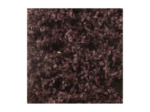 Silhouette Beech foliage - Summer - ca. 15x4cm - H0 / TT (922-22S)