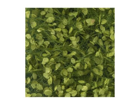 Silhouette Beech foliage - Spring - ca. 15x4cm - 1:45+ (920-31S)