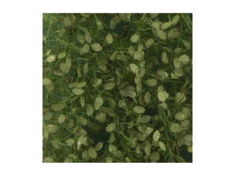 Silhouette Beech foliage - Summer - ca. 15x4cm - 1:45+ (920-32S)