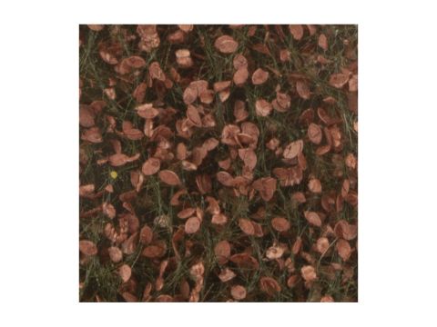 Silhouette Beech foliage - Late fall - ca. 15x4cm - 1:45+ (920-34S)