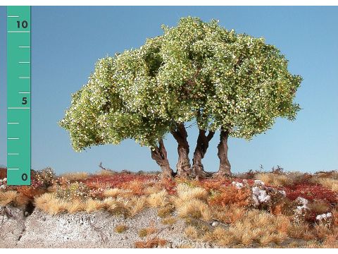 Silhouette High shrubs - Early fall - ca. 12cm - N / Z (350-13)