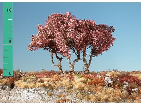 Silhouette High shrubs - Late fall - ca. 12cm - N / Z (350-14)