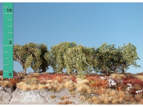 Silhouette Low shrubs - Early fall - 0 (< ca. 8cm) - H0 / TT (251-03)