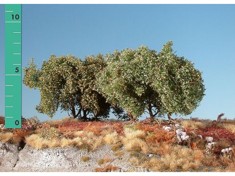 Silhouette Low shrubs - Early fall - ca. 8cm (350-03)