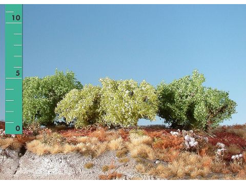Silhouette Low shrubs - Spring - 0 (< ca. 8cm) - H0 / TT (251-01)