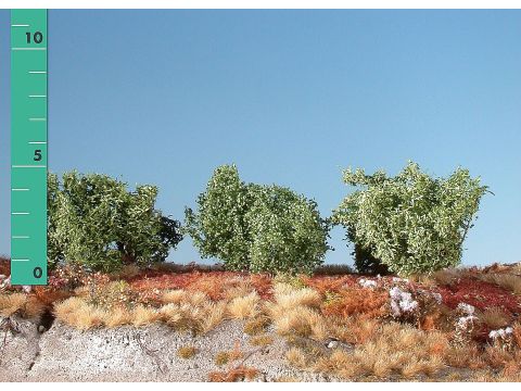 Silhouette Low shrubs - Summer - 0 (< ca. 8cm) - H0 / TT (251-02)