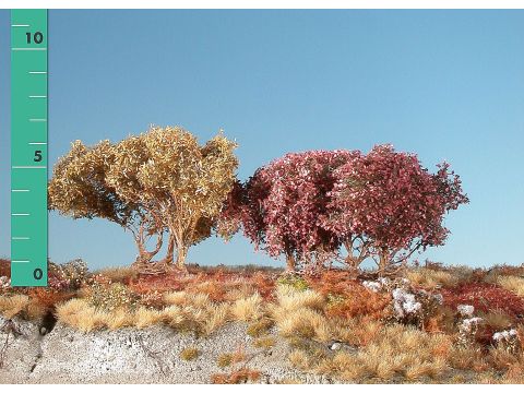 Silhouette Low shrubs - Late fall - ca. 8cm (350-04)