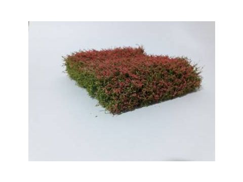 Silhouette Shrubbery - Red - 12 x 14 cm - H0 / TT (250-48)