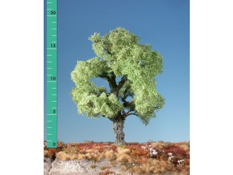 Silhouette Oak - Spring - 0 (< ca. 8cm) (180-01)