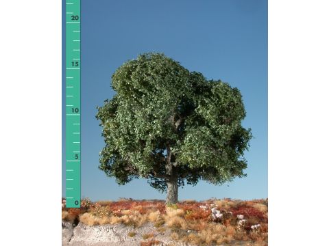 Silhouette Oak - Summer - 0 (< ca. 8cm) (180-02)