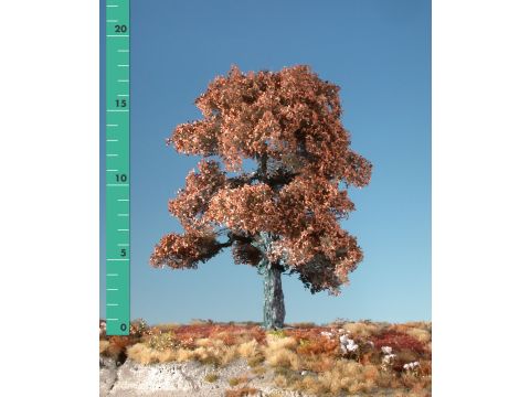 Silhouette Oak - Late fall - 0 (< ca. 8cm) (180-04)