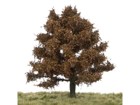 Silhouette Oak - Late fall - 0 (< ca. 8cm) (280-64)
