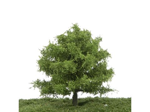 Silhouette Oak - Spring - 12-16cm (280-41)
