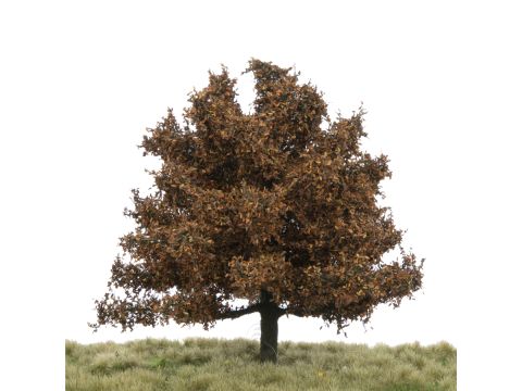 Silhouette Oak - Late fall - 12-16cm (280-44)