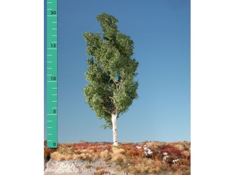 Silhouette Aspen - Summer - 3 (ca. 22-29cm) - 1:45+ (215-32)