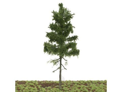 Silhouette Green spruce medium trunk - Summer - 20-24cm (279-000-0)